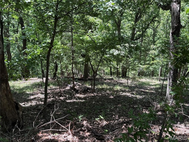 1361 Bear Canyon Rd, Wildwood, MO 63021 - photo 3