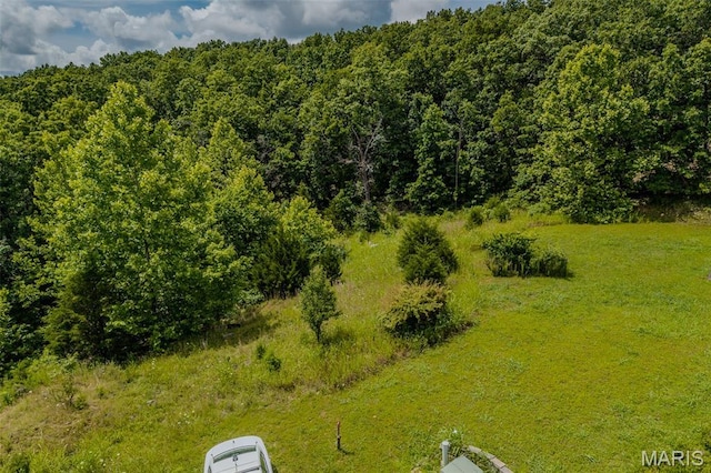 LOTS9, 10, 12 Horizonway Ln, Saint Robert, MO 65584