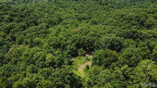 0 Madison 247, Fredericktown, MO 63645 - photo 3