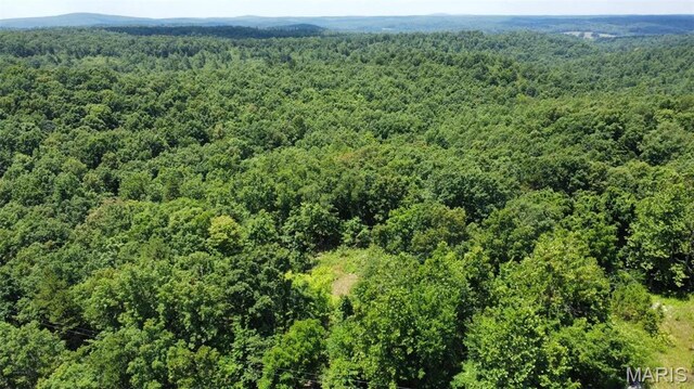 0 Madison 247, Fredericktown, MO 63645 - photo 6