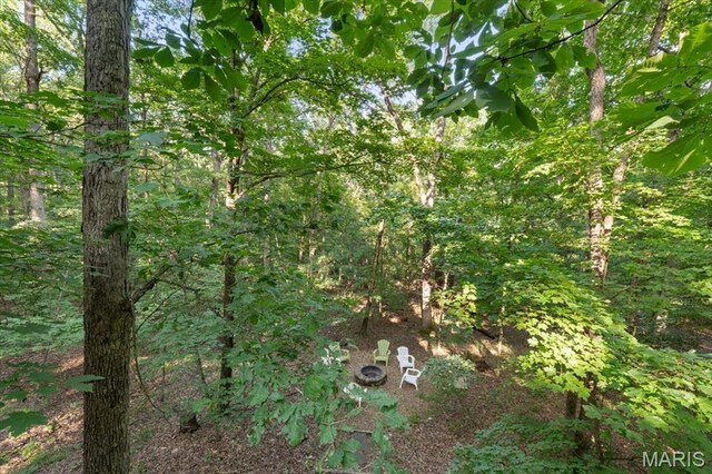 2506 Alpine Woods Dr, Wright City, MO 63390 - view of woods