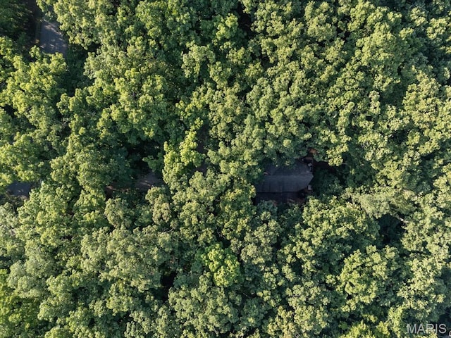 2506 Alpine Woods Dr, Wright City, MO 63390 - aerial overview of property's location