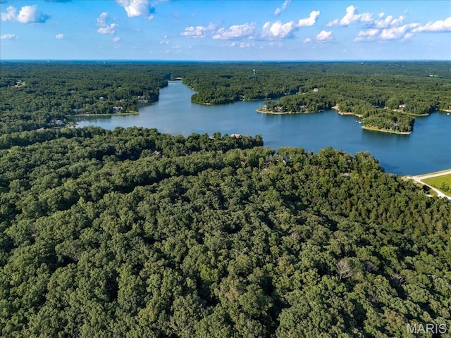 2506 Alpine Woods Dr, Wright City, MO 63390 - bird's eye view of a forest and a large body of water