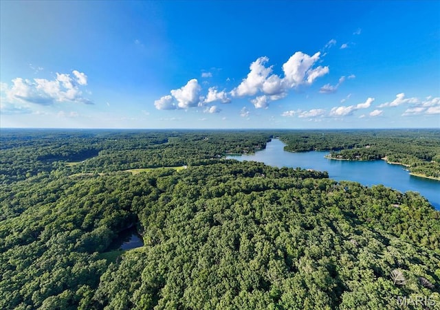 2506 Alpine Woods Dr, Wright City, MO 63390 - bird's eye view of a heavily wooded area and a nearby body of water