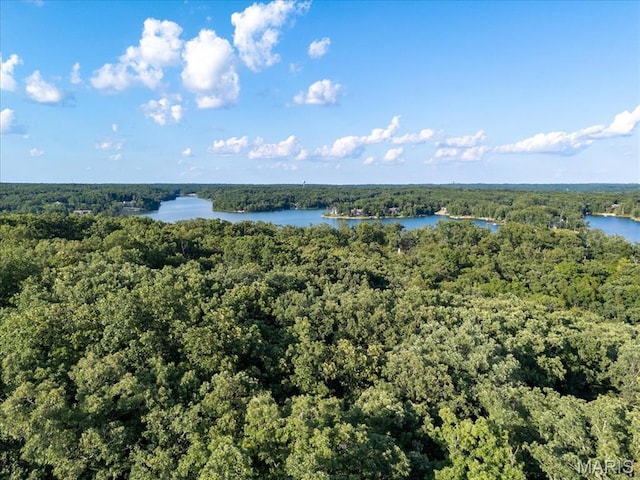 2506 Alpine Woods Dr, Wright City, MO 63390 - drone / aerial view of a heavily wooded area and a large body of water