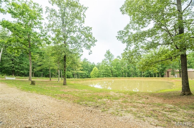 116 Buttry Ln, Wappapello, MO 63966 - view of yard with a water view