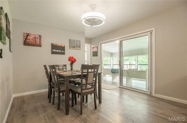116 Buttry Ln, Wappapello, MO 63966 - dining space featuring wood finished floors and baseboards