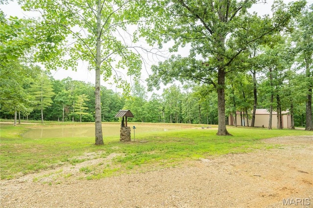 116 Buttry Ln, Wappapello, MO 63966 - view of green lawn