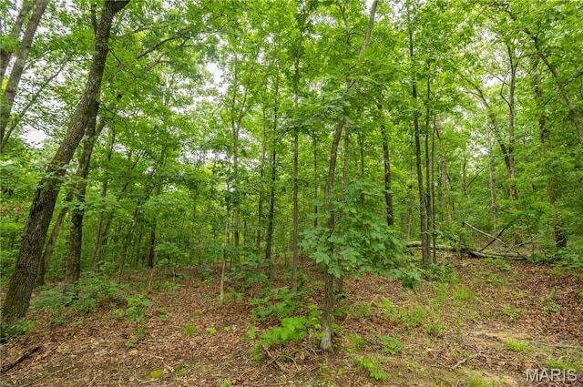 116 Buttry Ln, Wappapello, MO 63966 - view of wooded area