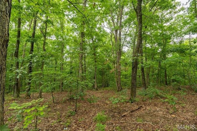 116 Buttry Ln, Wappapello, MO 63966 - view of woods