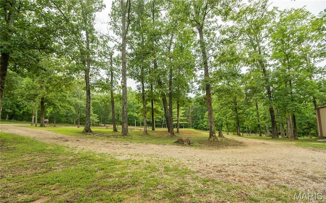 116 Buttry Ln, Wappapello, MO 63966 - view of local wilderness