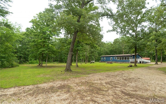 116 Buttry Ln, Wappapello, MO 63966 - view of grassy yard with a forest view and dirt driveway