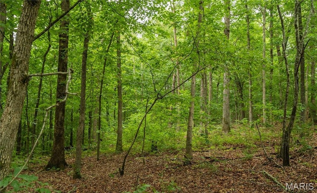116 Buttry Ln, Wappapello, MO 63966 - view of woods