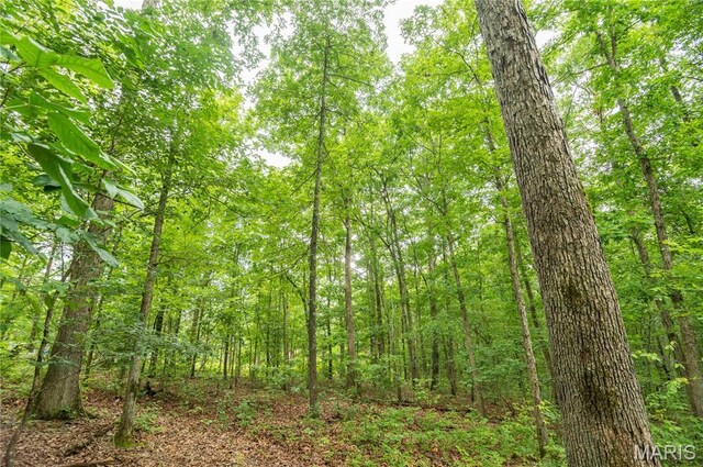 116 Buttry Ln, Wappapello, MO 63966 - view of wooded area