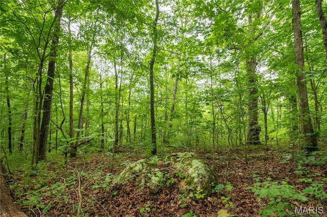 116 Buttry Ln, Wappapello, MO 63966 - view of wooded area
