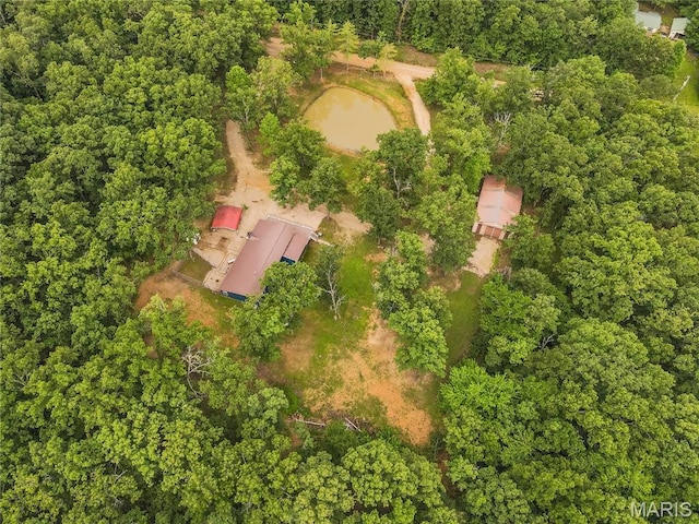 116 Buttry Ln, Wappapello, MO 63966 - aerial view