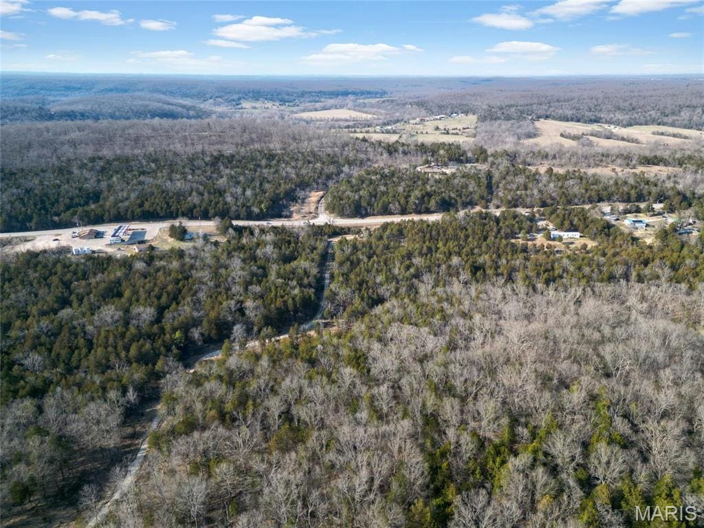 LOT1 Parkview Dr, Blackwell, MO 63626 - photo 1