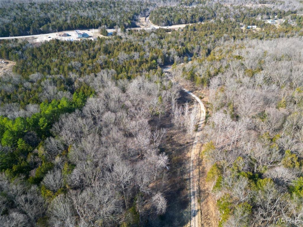LOT1 Parkview Dr, Blackwell, MO 63626 - photo 2