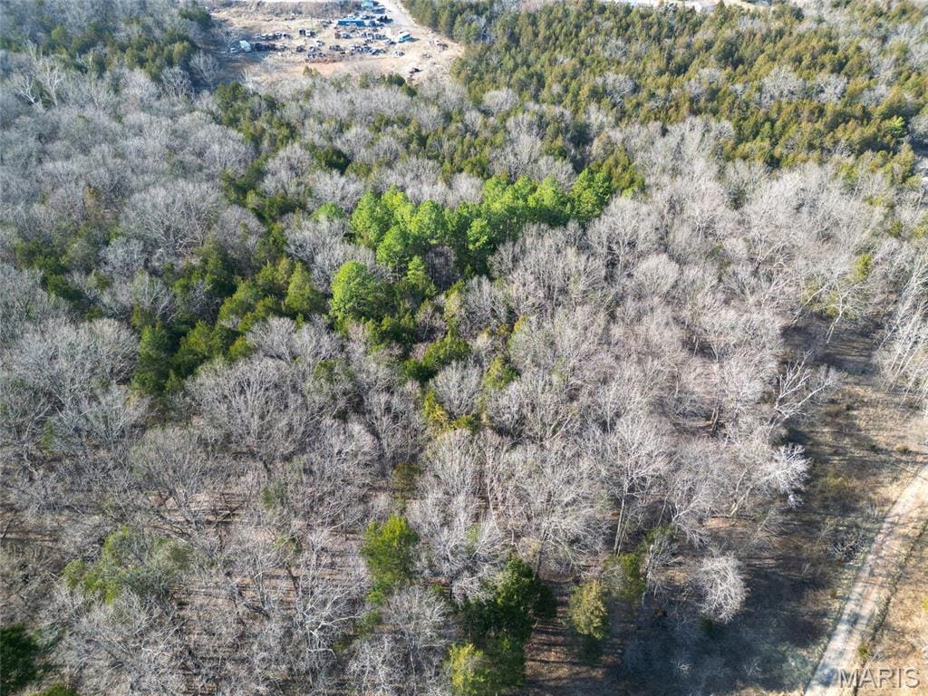 LOT1 Parkview Dr, Blackwell, MO 63626 - photo 3