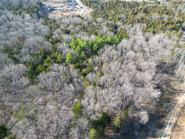 LOT1 Parkview Dr, Blackwell, MO 63626 - photo 3