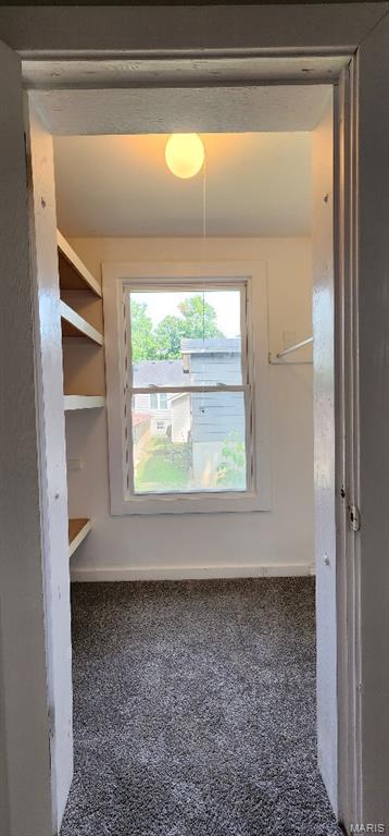 115 N 5th St, De Soto, MO 63020 - walk in closet featuring carpet floors