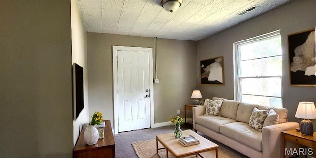 115 N 5th St, De Soto, MO 63020 - view of carpeted living room