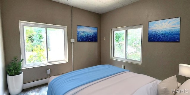 115 N 5th St, De Soto, MO 63020 - bedroom featuring multiple windows and a baseboard heating unit