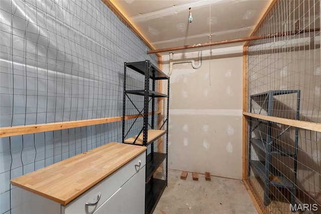 1514 Summer Run Dr Unit 208, Florissant, MO 63033 - view of storage