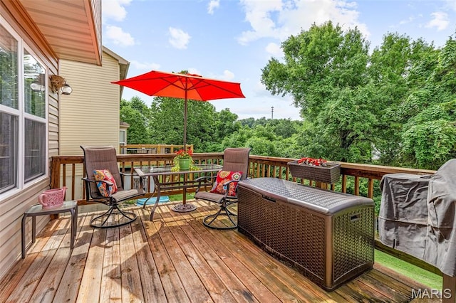 1416 Glacier Pass, Festus, MO 63028 - photo 48