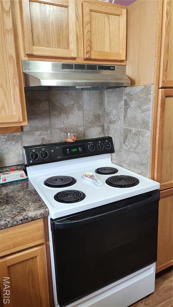 800 N Hickory St, Salem, MO 65560 - kitchen with range with electric cooktop, under cabinet range hood, and decorative backsplash