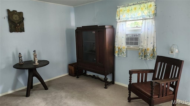 800 N Hickory St, Salem, MO 65560 - sitting room featuring carpet and cooling unit