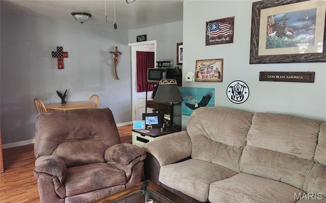 800 N Hickory St, Salem, MO 65560 - living room with wood finished floors