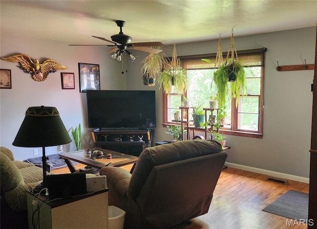 800 N Hickory St, Salem, MO 65560 - living room featuring a ceiling fan and wood finished floors