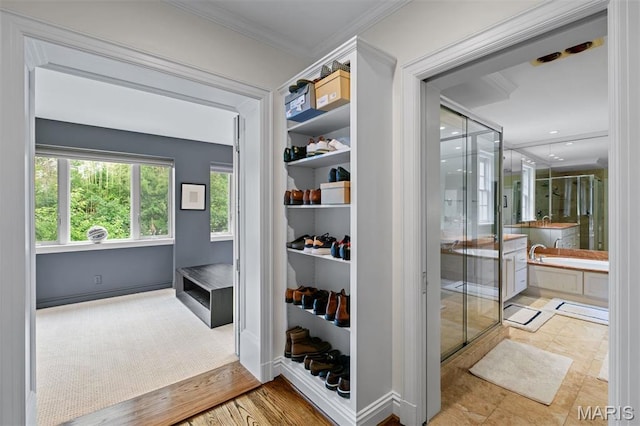 20 Ridgemoor Dr, Clayton, MO 63105 - pantry featuring a sink