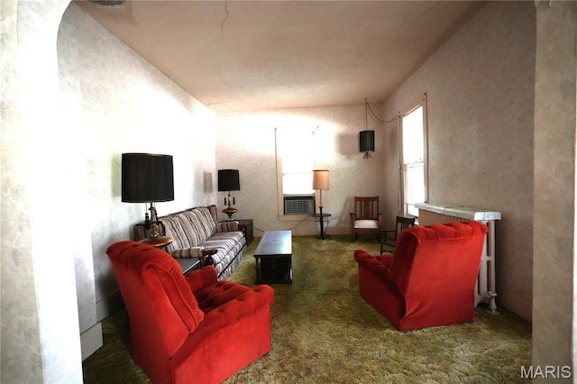 114 W 2nd St S, Mount Olive, IL 62069 - living room featuring carpet