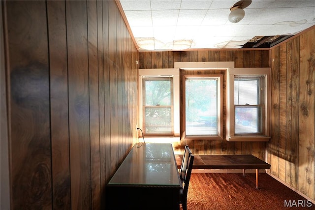 114 W 2nd St S, Mount Olive, IL 62069 - office area with wooden walls and carpet floors