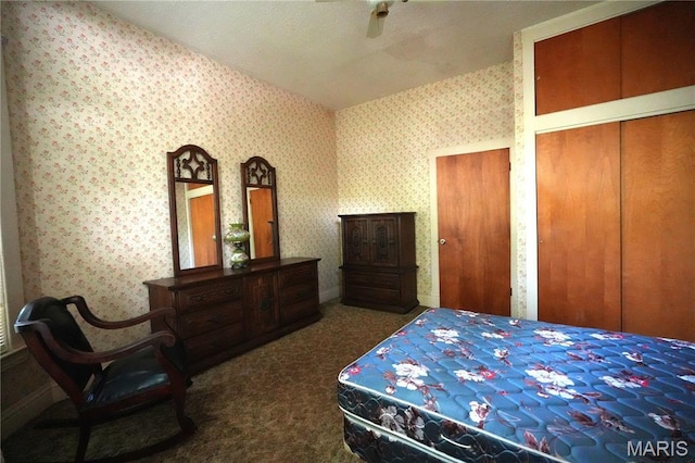 114 W 2nd St S, Mount Olive, IL 62069 - bedroom with carpet flooring, wallpapered walls, multiple closets, and ceiling fan