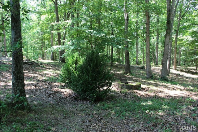28018 Deer Trl, Jonesburg, MO 63351 - photo 73