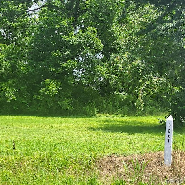 314 S E St, Poplar Bluff, MO 63901