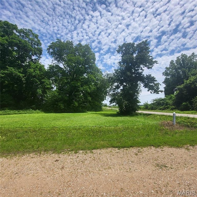 314 S E St, Poplar Bluff, MO 63901