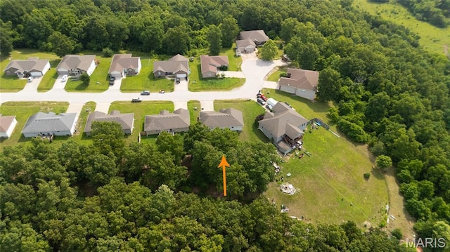 16240 Heartland Ln, Saint Robert, MO 65584 - photo 47