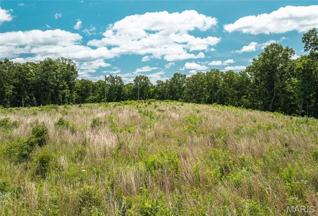 15970 Top Dr, Saint Robert, MO 65584 - photo 1