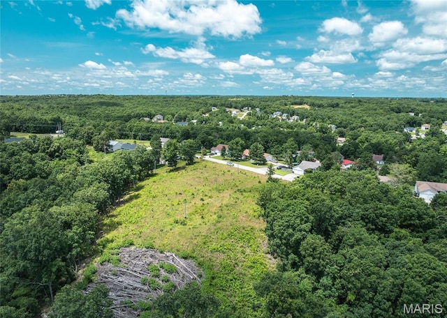 15970 Top Dr, Saint Robert, MO 65584 - photo 8