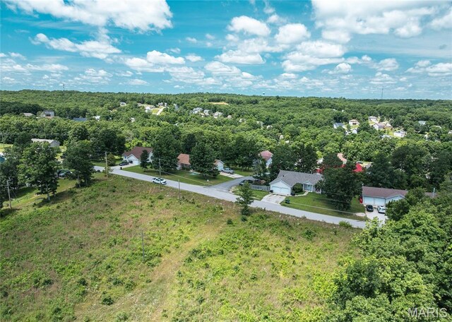 15970 Top Dr, Saint Robert, MO 65584 - photo 9