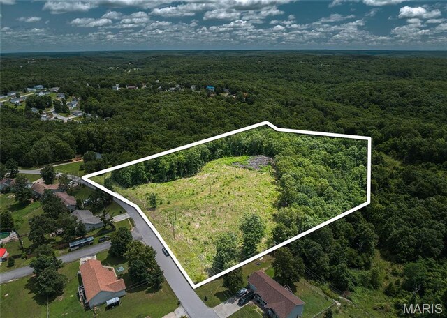 15970 Top Dr, Saint Robert, MO 65584 - photo 12