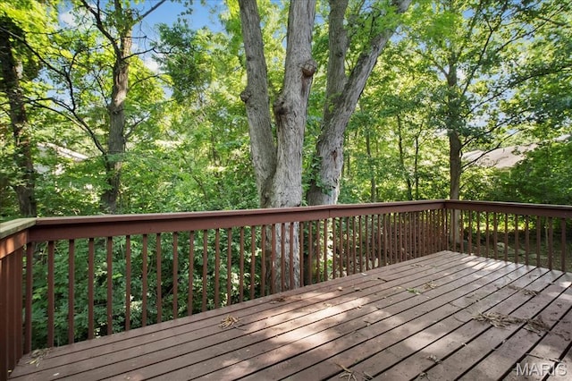 705 Russett Ter, Lake St Louis, MO 63367 - photo 39