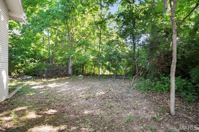 705 Russett Ter, Lake St Louis, MO 63367 - photo 45