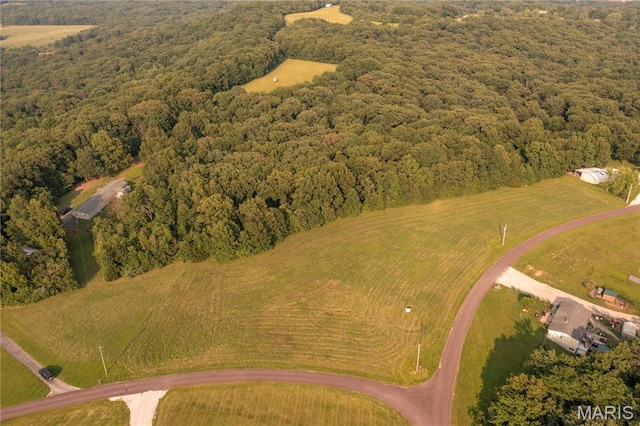 325 Ehmler Ln, Elsberry, MO 63343 - photo 1
