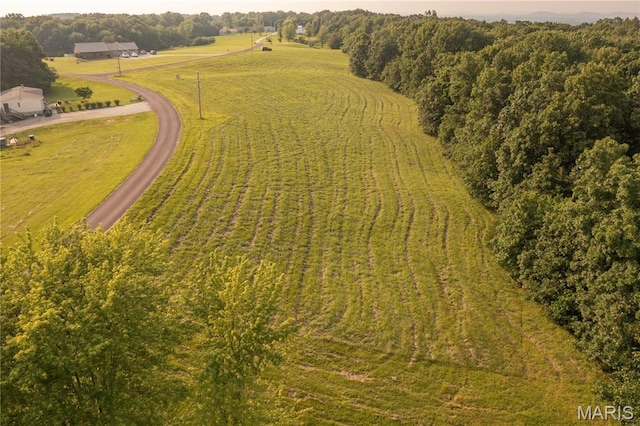 325 Ehmler Ln, Elsberry, MO 63343 - photo 5