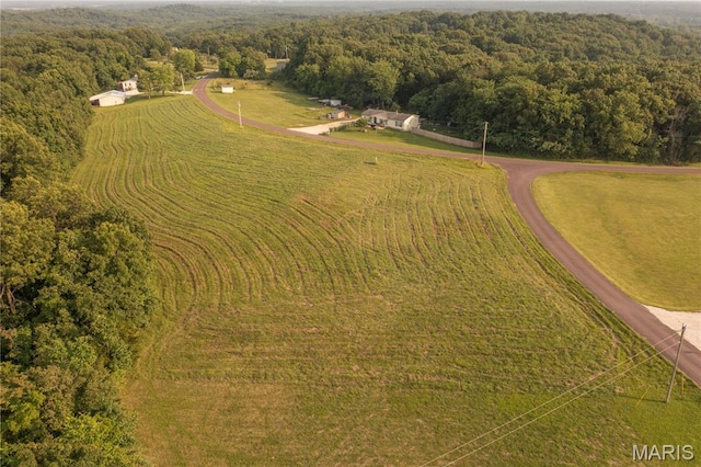 325 Ehmler Ln, Elsberry, MO 63343 - photo 6